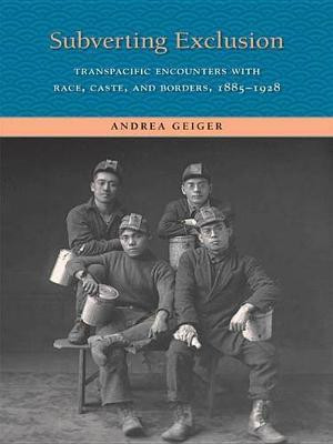 Subverting Exclusion(English, Electronic book text, Prof Geiger Andrea)