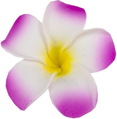 

Premsons Single Layer of Plumeria Flower Alligator Clip Great for Wedding, Party and Casual Occasions (Colour May Vary) - Pack of 4 Hair Clip(Multicolor)