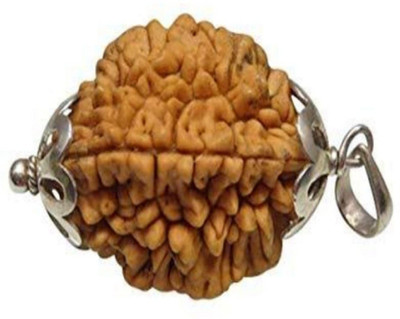 om rudraksha 2 mukhi rudraksha Wood Pendant