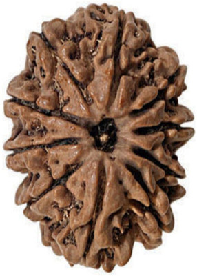 om rudraksha 10 mukhi rudraksha Wood Pendant