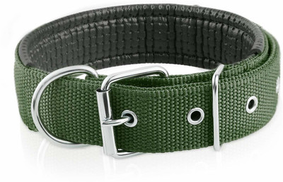 

Pets Empire Dog Everyday Collar(, Green