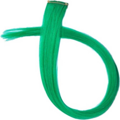 

Vivian Single Clip Synthetics Green Coloured Straight Extension For Women & Girls For Teen age Girls Hair Extension