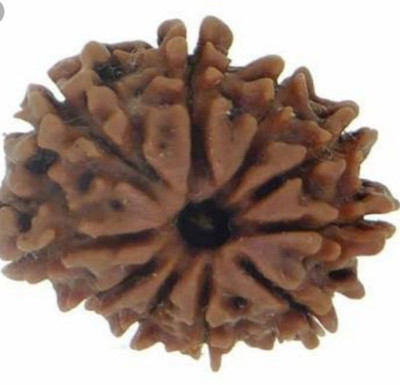 om rudraksha 10 mukhi rudraksha Wood Locket