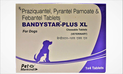 

MANKIND Dewormer Tablet(4 tablets)