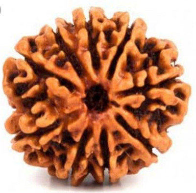 om rudraksha 9 mukhi rudraksha Wood Locket