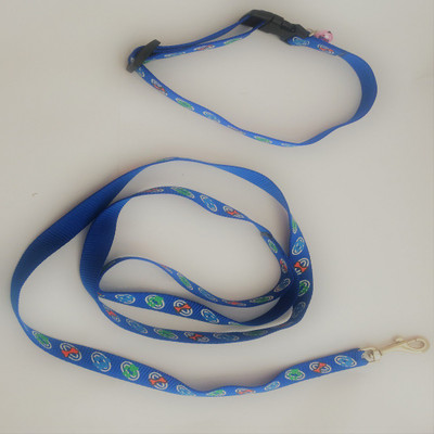 

dogsbuzz collar an leash for puppy (3/4 inch) blue 100 cm Dog Strap Leash(Blue)
