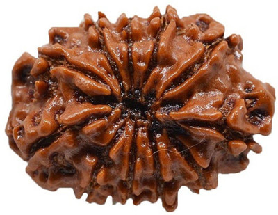 Jaipur Gemstone 11 Mukhi Rudraksha Wood