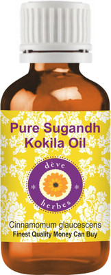 

Deve Herbes Pure Sugandh Kokila Oil (Cinnamomum glaucescens) 100% Natural Therapeutic Grade(30 ml)