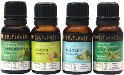 

Soulflower Air Purifier Regime(200 g)