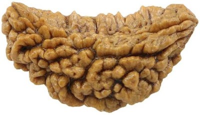 Aurra Stores Original/Natural Ek Mukhi Rudraksha From Himalaya With Lab Certified Wooden Yantra(Pack of 1)