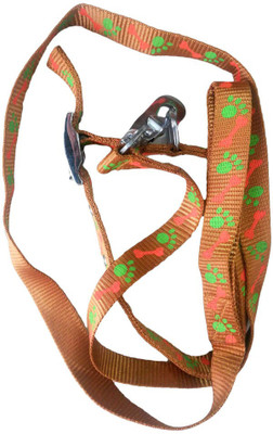 

Pethops Dog Collar & Leash(, Mustard