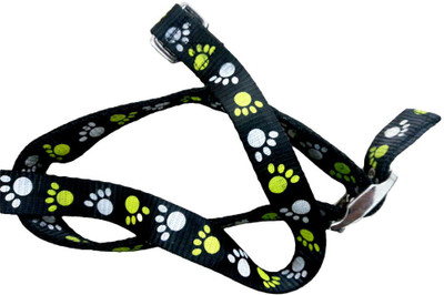 

Pethops Dog Collar & Leash(, Black