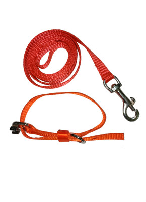 Prince products Puppy set orange Dog Collar & Leash(, orange
