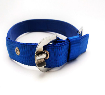 

dogsbuzz high quality nylon collar and leash (1 inch breadth) blue 160 cm Dog Strap Leash(Blue)
