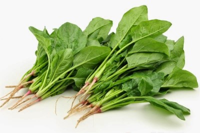 MaliaGarden Palak Spinach Palang Saag Seed(200 per packet)