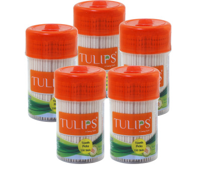 Tulips 250 Wooden Toothpicks in a Reusable Jar(6.5 cm, Pack of 5)