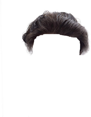 sellers destination Short Hair Wig(Men)