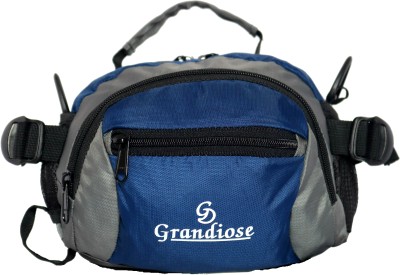 GRANDIOSE Designer Waist Pouch For Men & Women Navy Blue (GTB51006NB) Travel Waist Bag(Blue)