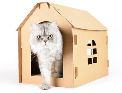 Emily Pets Cat Scratching Tower
