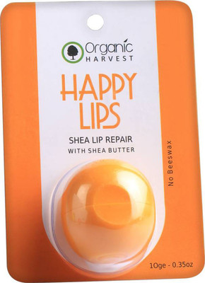 

Organic Lip Balm - Shea Butter BUTTER(Pack of: 1, 10 g)