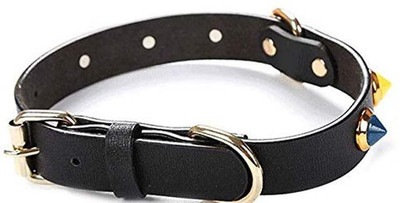 

Kolorfish Luxury Padded Leather Pet Collars with Charms for Dogs & Cats Black - 1Pc Plain Dog Collar Charm(Black, Other)