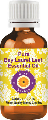 

Deve Herbes Pure Bay Laurel Leaf Essential Oil (Laurus nobilis) 100% Natural Therapeutic Grade Steam Distilled(15 ml)