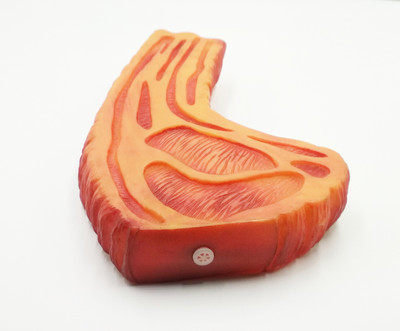 GREAT PET SHOP Rubber Squeaky Toy For Dog