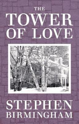 The Towers of Love(English, Electronic book text, Birmingham Stephen)