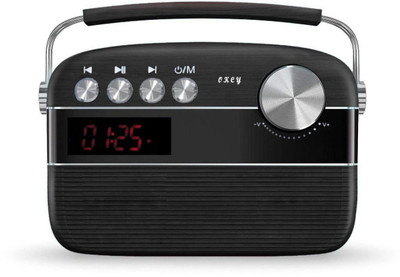 

ShopyBucket Portable Digital Radio Music Player Bluetooth USB and AUX In Support Pre Loaded 5025 Thousand Evergreen Songs FM Radio(Blue)