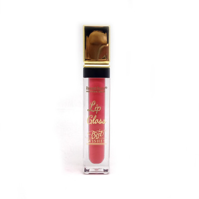 

Romantic Beauty Lip Gloss Best Wishes(4.8 g, Retro Red)