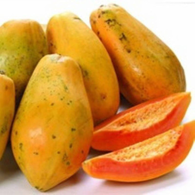 Vlog Bazar Fruit Hybrid Papaya (Papita) Seeds Pack of 3 Seed(100 per packet)