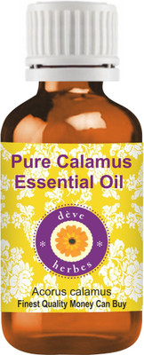 

Deve Herbes Pure Calamus Essential Oil (Acorus calamus) 100% Natural Therapeutic Grade Steam Distilled(50 ml)