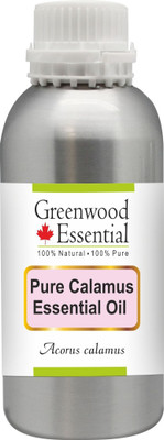 

Greenwood Essential Pure Calamus Essential Oil (Acorus calamus) 100% Natural Therapeutic Grade Steam Distilled(1250 ml)