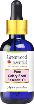 Greenwood Essential Pure Celery Seed Essential Oil (Apium graveolens) with Glass Dropper 100% Natural Therapeutic Grade Steam Distilled(100 ml)