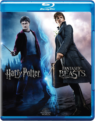 

Wizarding World 10 Movies Collection: Harry Potter 1 to 8 + Fantastic Beasts 1 & 2 (10-Disc Box Set) (Region Free)(Blu-ray English)