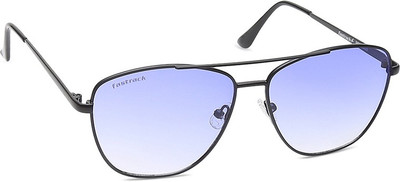 Fastrack Aviator Sunglasses(Blue)