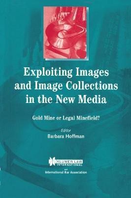 Exploiting Images and Image Collections in the New Media(English, Paperback, Hoffman Barbara)