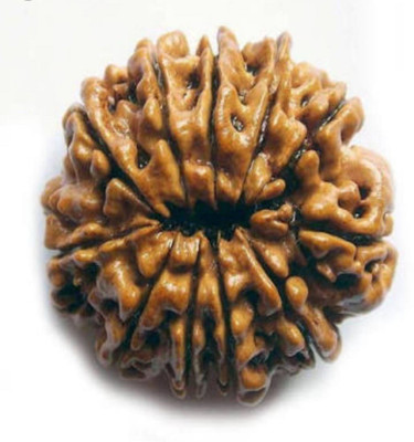 om rudraksha 11 mukhi rudraksha Wood Locket