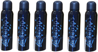 

colour me MIDNIGHT ( PACK OF 6) Perfume Body Spray - For Women(150 ml, Pack of 6)