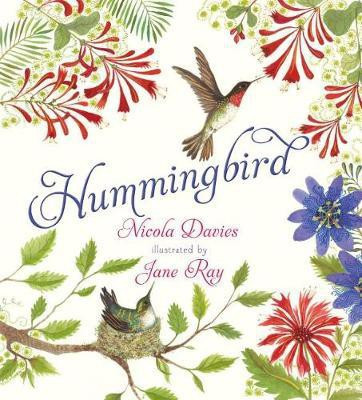 Hummingbird(English, Hardcover, Davies Nicola)
