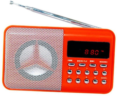 Fangtooth Radio Fm BT- SM246 Support USB Pen-drive, Memory Card, Aux in and Recording FM Radio(Orange)
