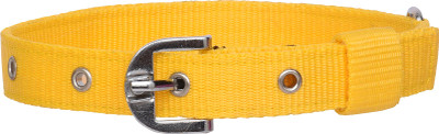 Manal Enterprises Dog Collar & Leash(Medium, YELLOW)