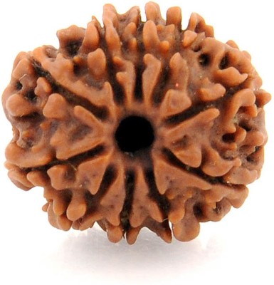 Gems Jewels Online 10 Mukhi / Ten Mukhi Certified Nepali Rudraksha Beads Wood Pendant