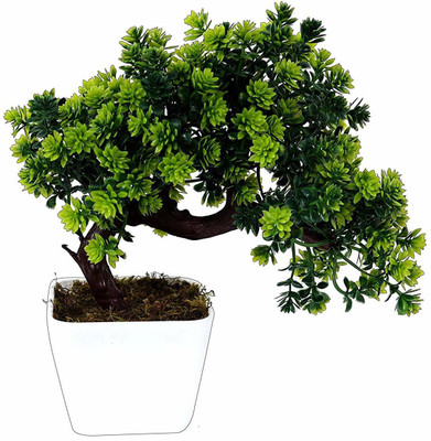 Yutiriti Plastic Bonsai Plant Tree Flowers (22 cm x 10 cm x 22 cm, Green) Bonsai Wild Artificial Plant  with Pot(22 cm, Green)