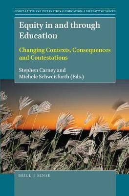 Equity in and Through Education(English, Electronic book text, unknown)