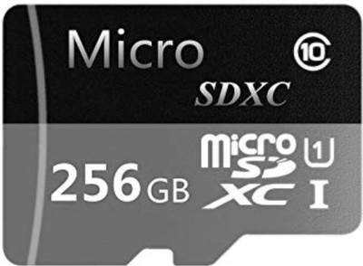 VSP Enterprises Basic 256 GB MicroSDXC Class 10 90 MB/s Memory Card