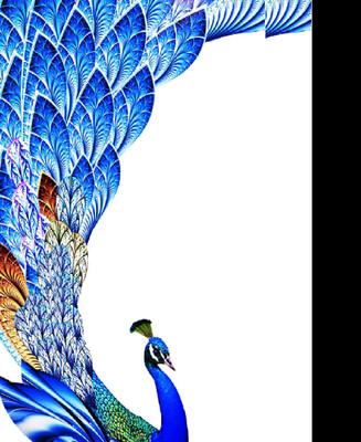 Snooky LG G6 Mobile Skin(Blue)