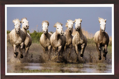 Seven running horses||vastu painting for home and office||Seven lucky running horses painting || 7 horses painting ||seven horses||vastu horses Photo Frame (14x20 inch framed) Paper Print(14 inch X 20 inch)