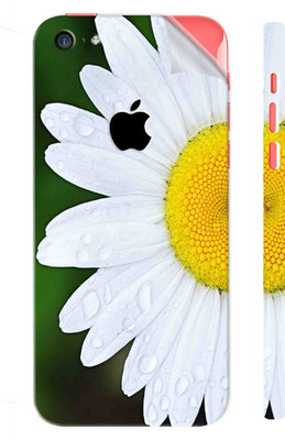 Snooky Apple iPhone 5c Mobile Skin(Green)