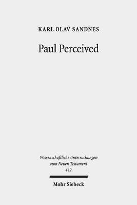 Paul Perceived(English, Hardcover, Sandnes Karl Olav)